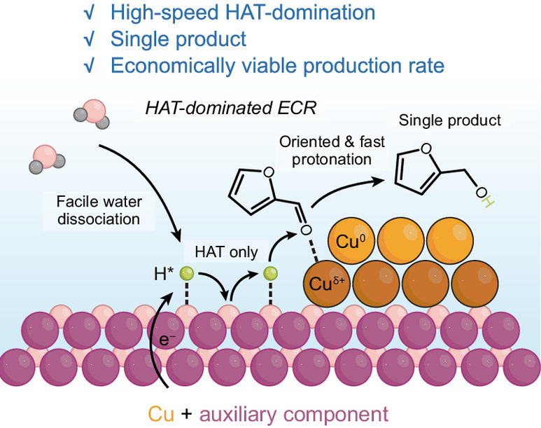 pnas.2423542122fig01.jpg